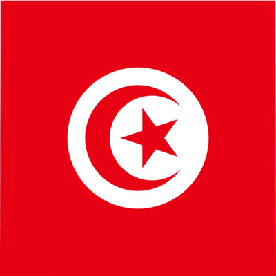 TUNISIA Microfiber Duvet Cover