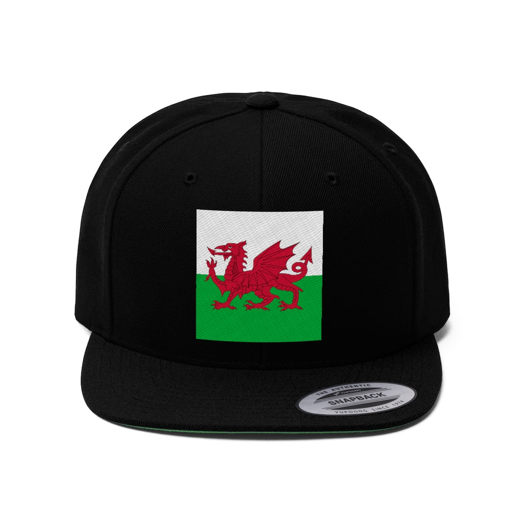 WALES Unisex Flat Bill Hat