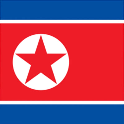 NORTH KOREA Microfiber Duvet Cover