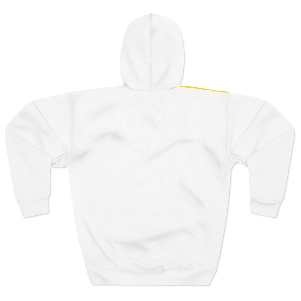 VATICAN CITY AOP Unisex Pullover Hoodie