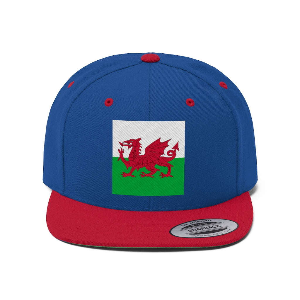 WALES Unisex Flat Bill Hat