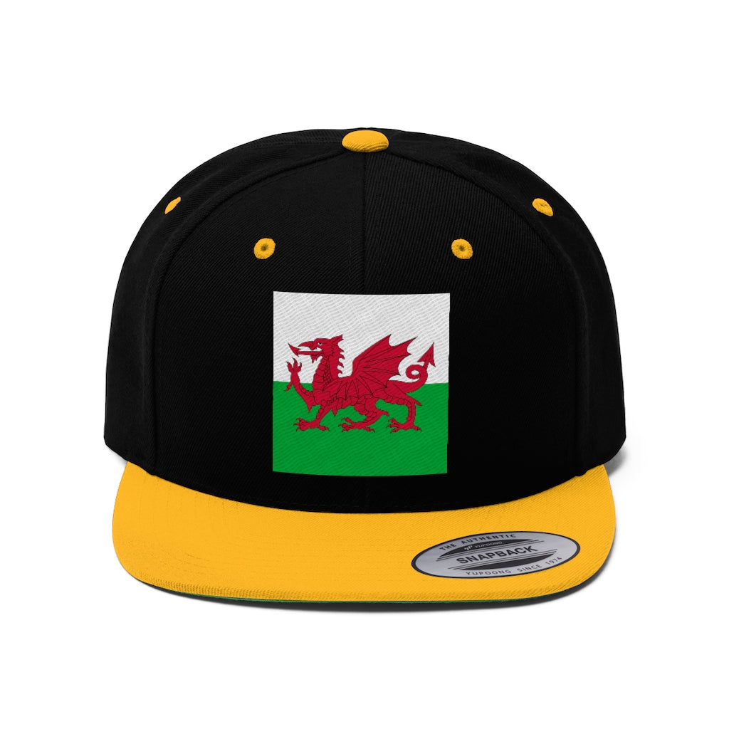 WALES Unisex Flat Bill Hat