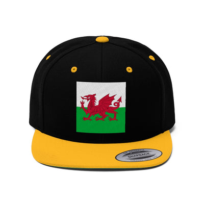 WALES Unisex Flat Bill Hat